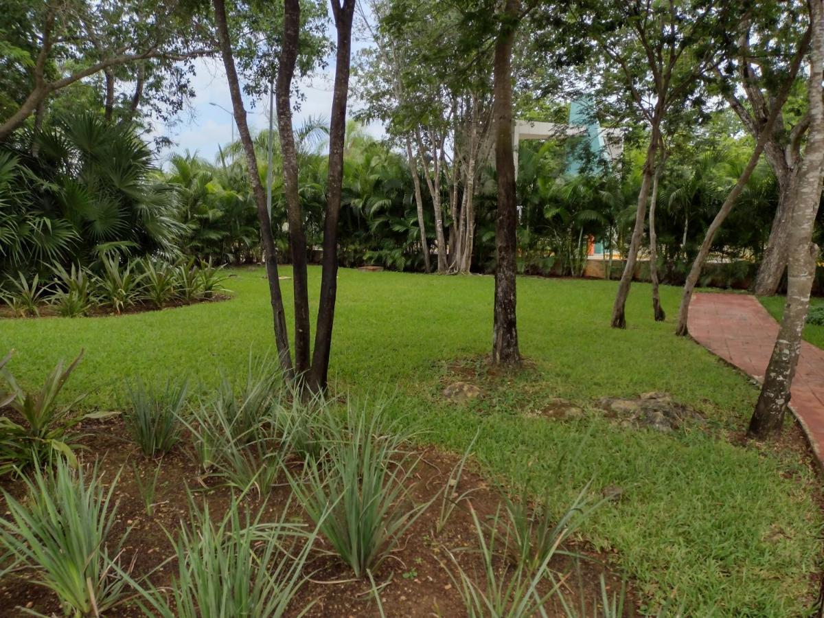 Casa Nueva En Olivos 3, Excelente Ubicación Сasa de vacaciones Playa del Carmen